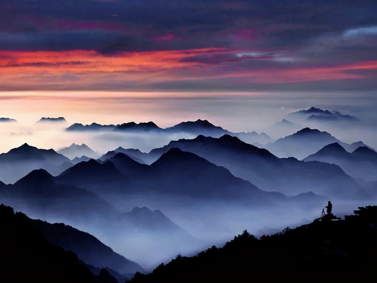 阿凡达最新彩蛋,阿凡达你不知道的隐藏细节