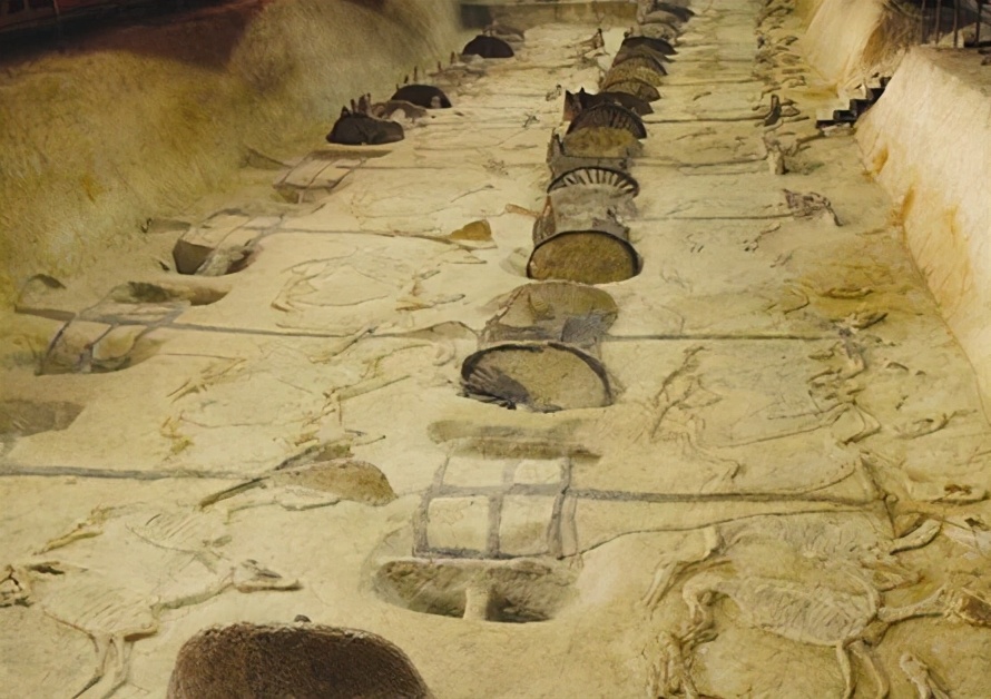 三星堆发现切割痕迹,三星堆有切割机痕迹