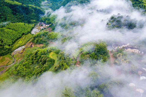 婺源鲜花小镇,绝美鲜花小镇
