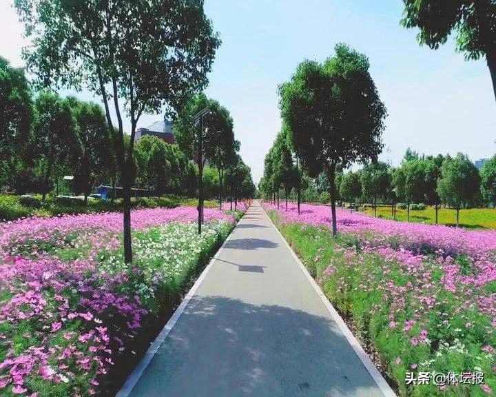 脚步丈量城市绿肺,脚步丈量青山绿水