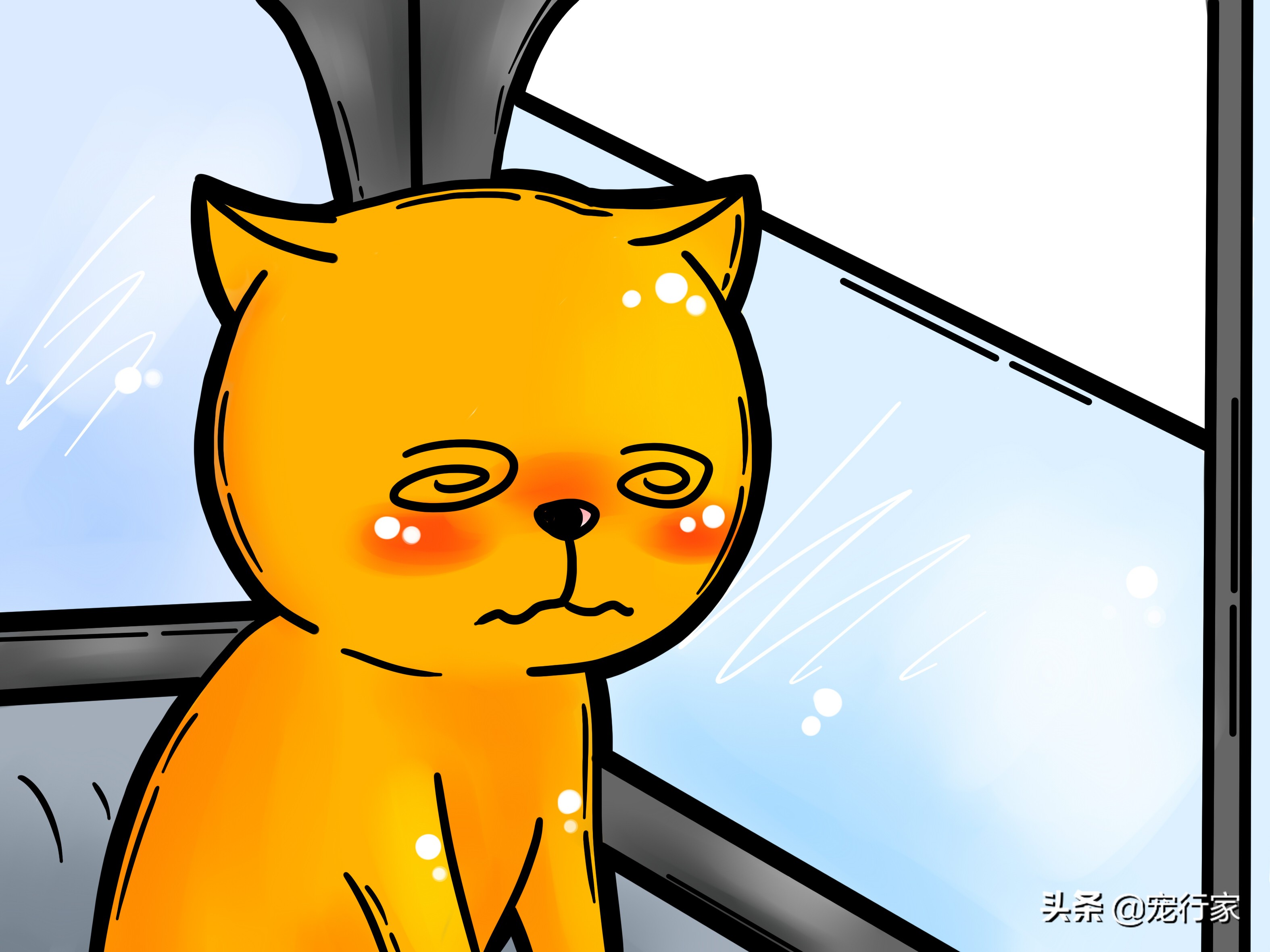 猫的呕吐物很油,猫呕吐的原因及治疗办法