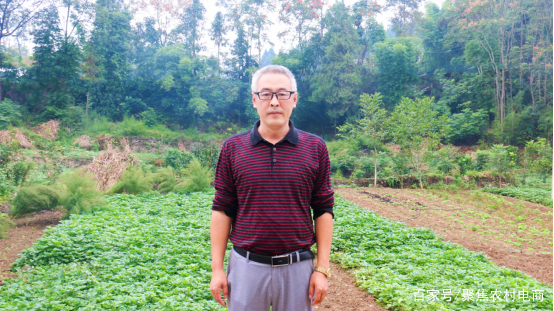 老村长的电商之路,老村长农村电商