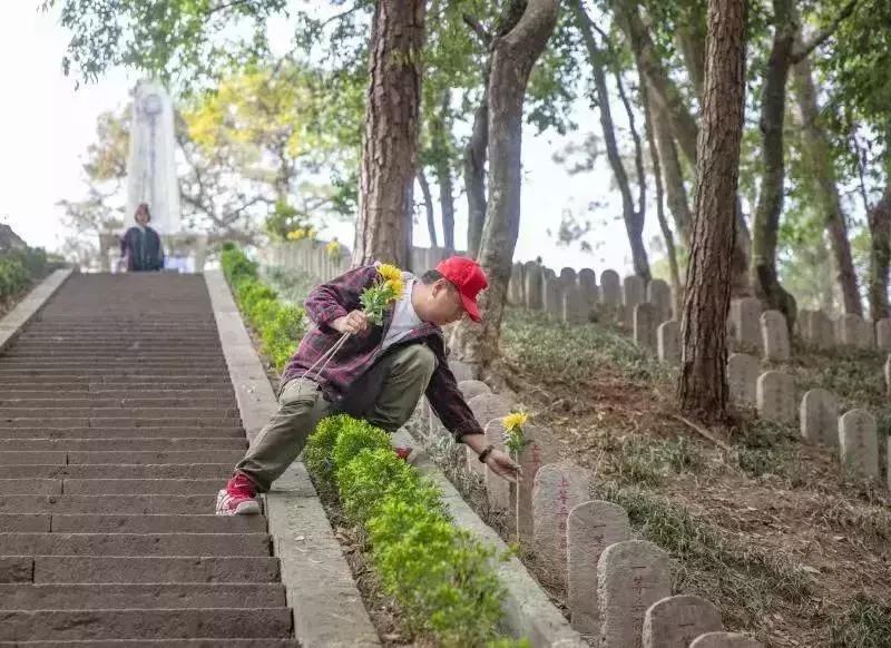 我的团长我的团和顺之战,我的团长我的团十年生死两茫茫