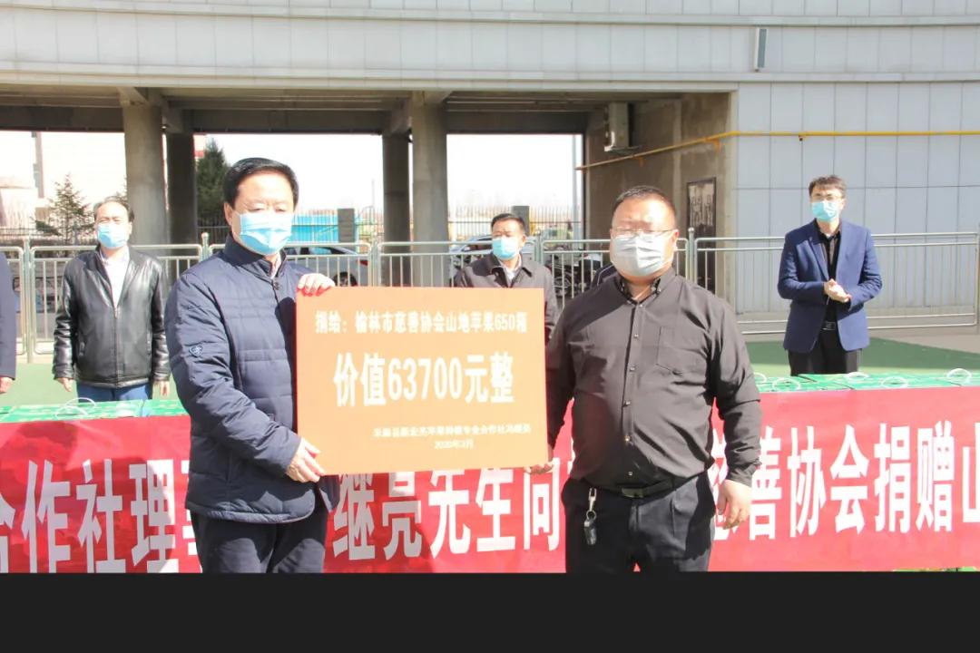 榆林市抗疫先进,榆林抗疫视频宣传