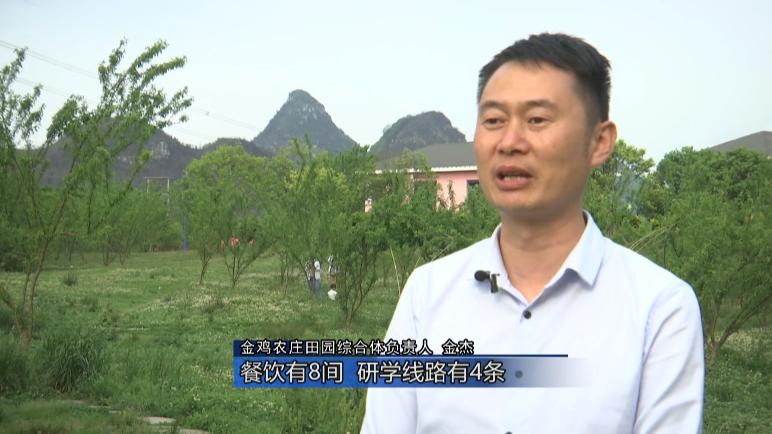 金鸡农庄五一,金鸡农庄一日游价格表