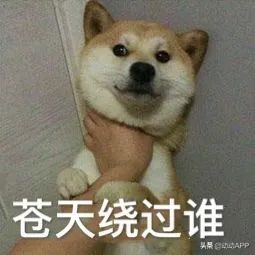 口罩戴一会有臭味是口臭导致的吗,口臭自己戴口罩闻不到怎么回事