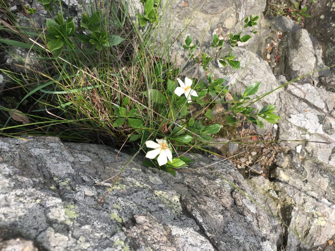 宁波及象山三天两夜游,宁波象山攻略