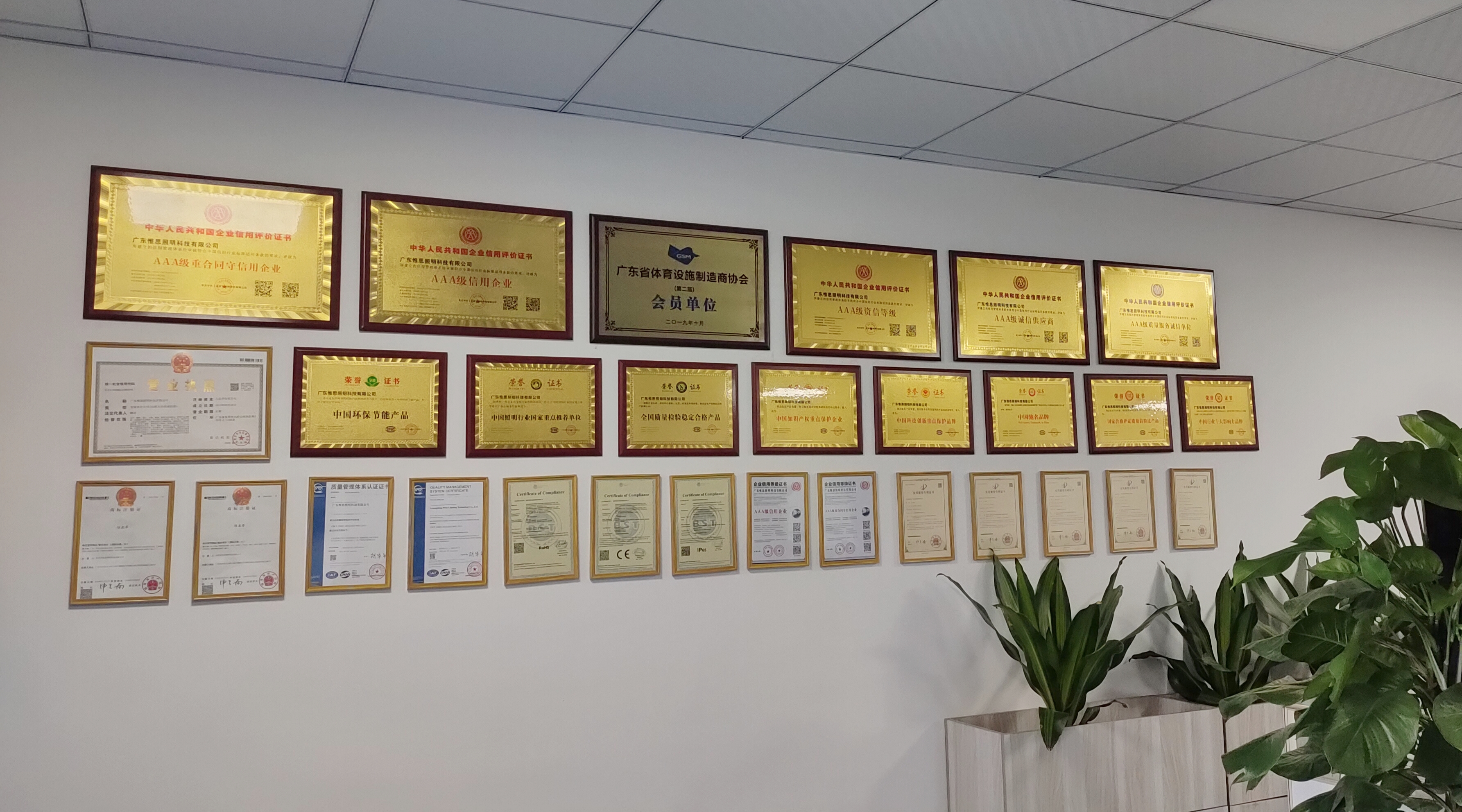 广东体育产业的前景,体育产业发展潜力巨大