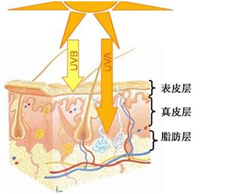 皮肤除皱纹方法,皮肤祛皱纹小妙招