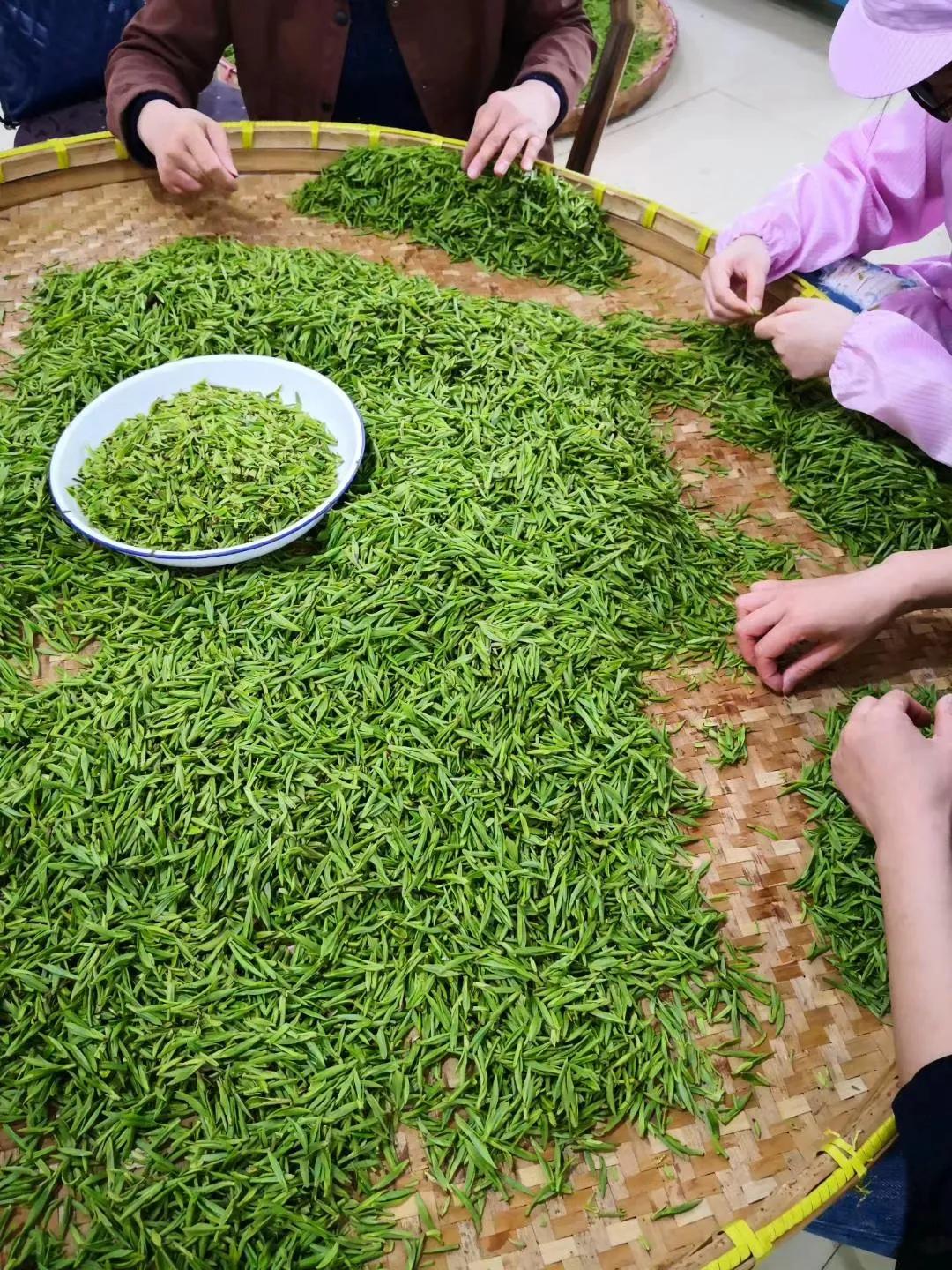 天门人厉害还是仙桃人厉害,天门厉害人物