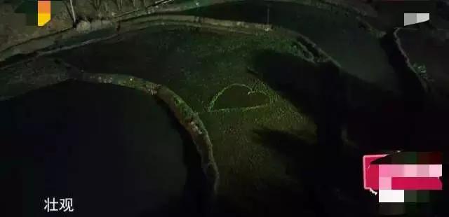 刘宪华退出向往的生活原因,刘宪华为什么退出向往的生活