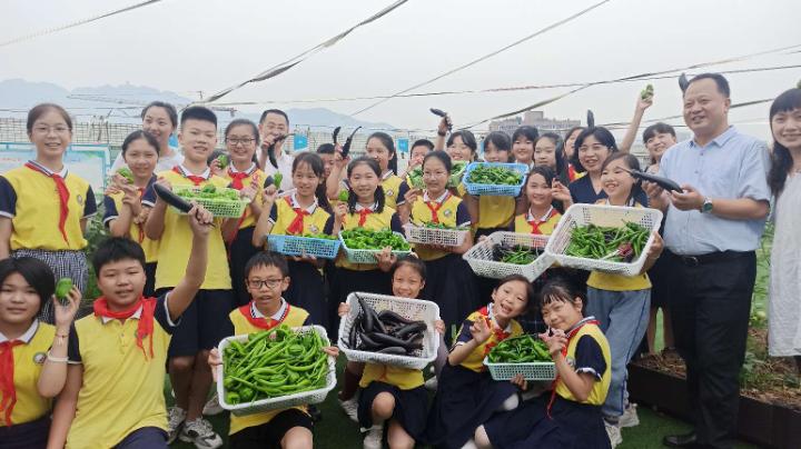 小学农耕节活动,梨树县首届农民丰收节