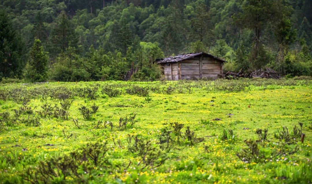 巴松措最近期攻略,巴松措可以开进去吗
