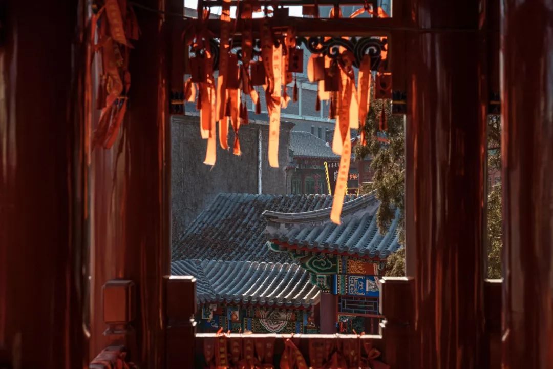 天津饺子捞面,天津饺子馅放啥