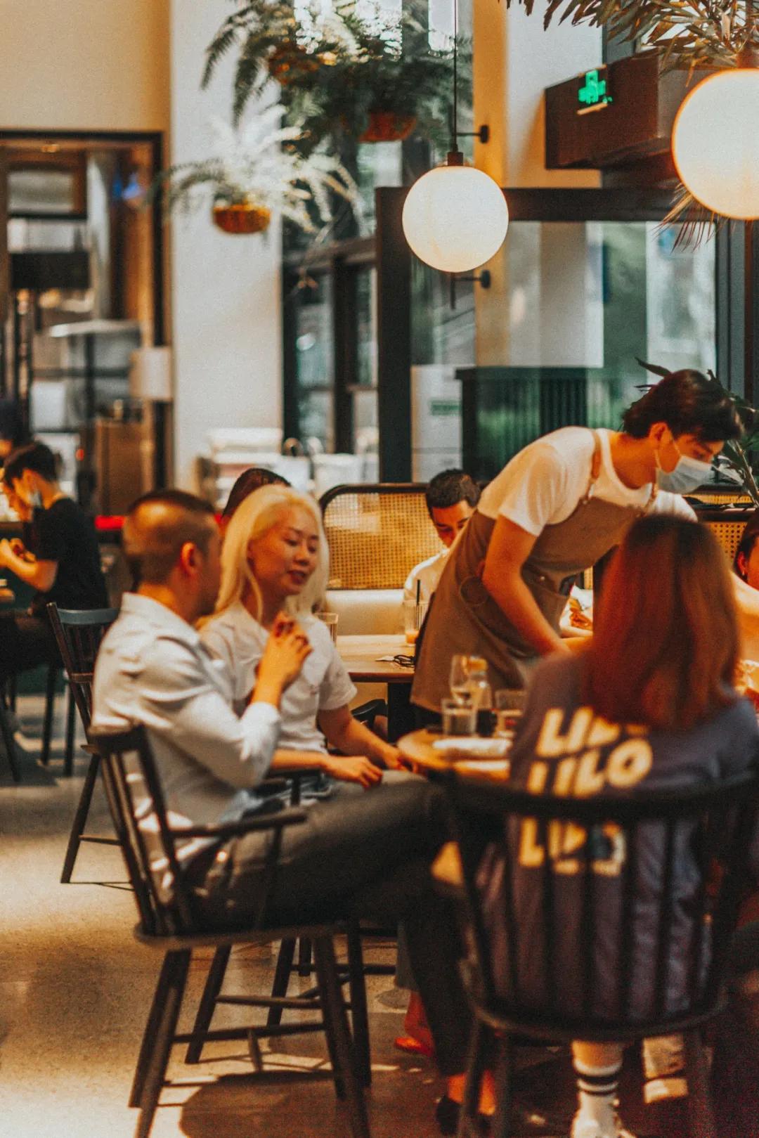 爱宠大机密作战计划,爱宠大作战作战计划