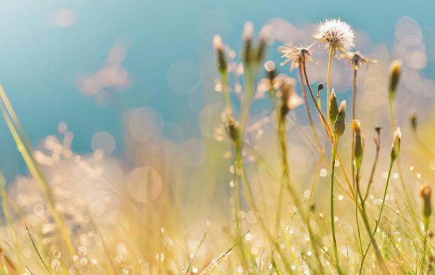 人到中年最要紧的是努力赚钱,人到中年赚钱才是最大的清醒