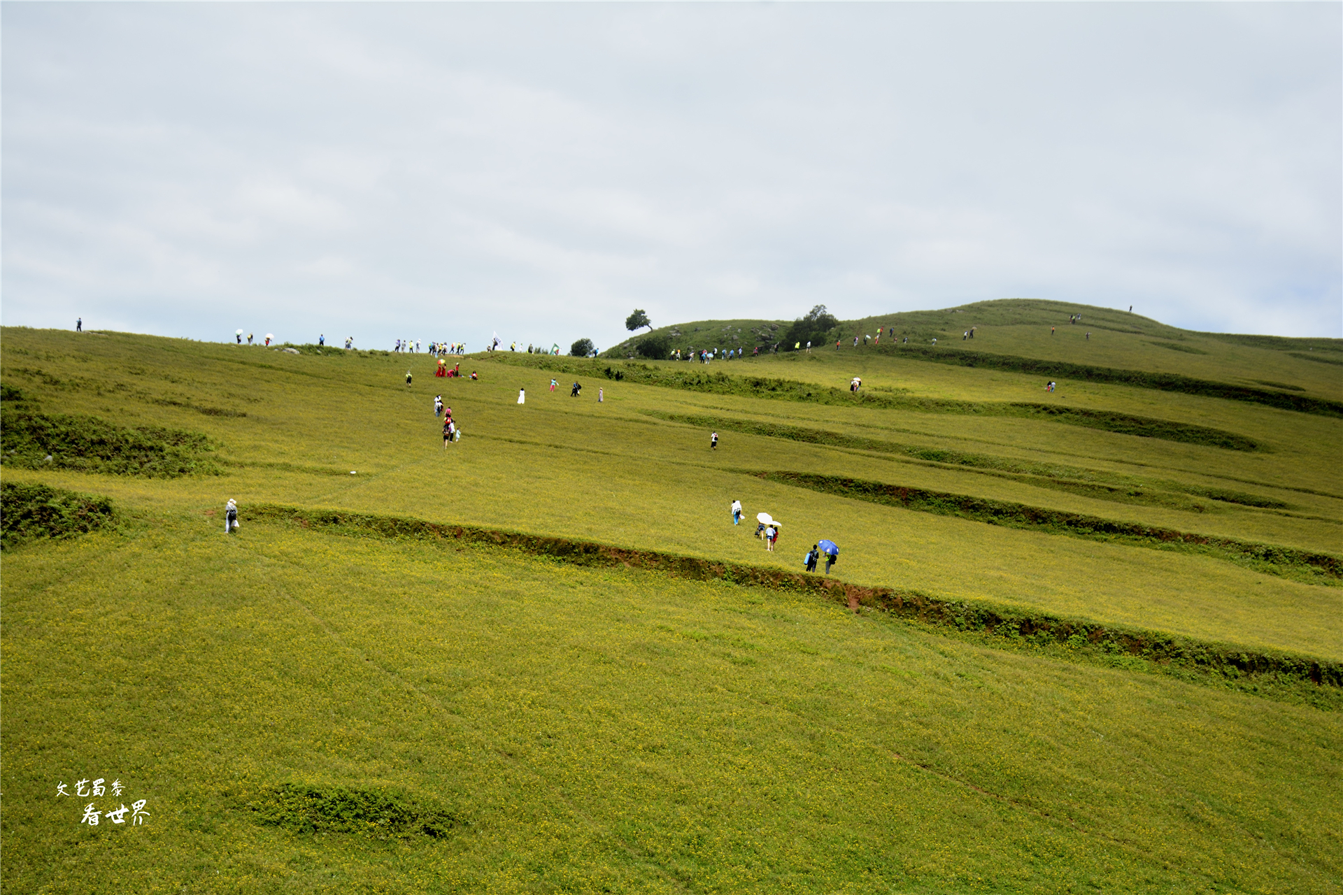 四川攀枝花适合过冬养老吗,攀枝花哪里成都人过冬最好