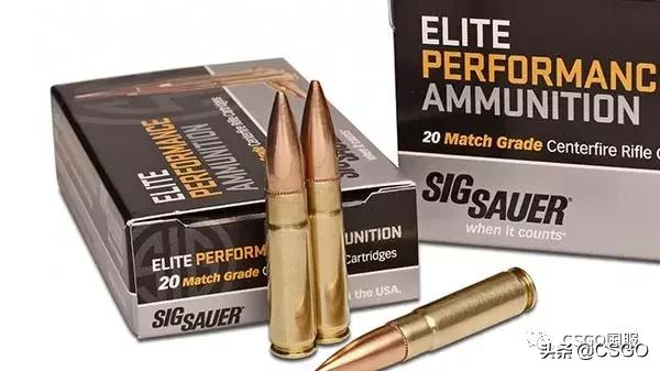 西格绍尔步枪sg553,西格绍尔热门枪型