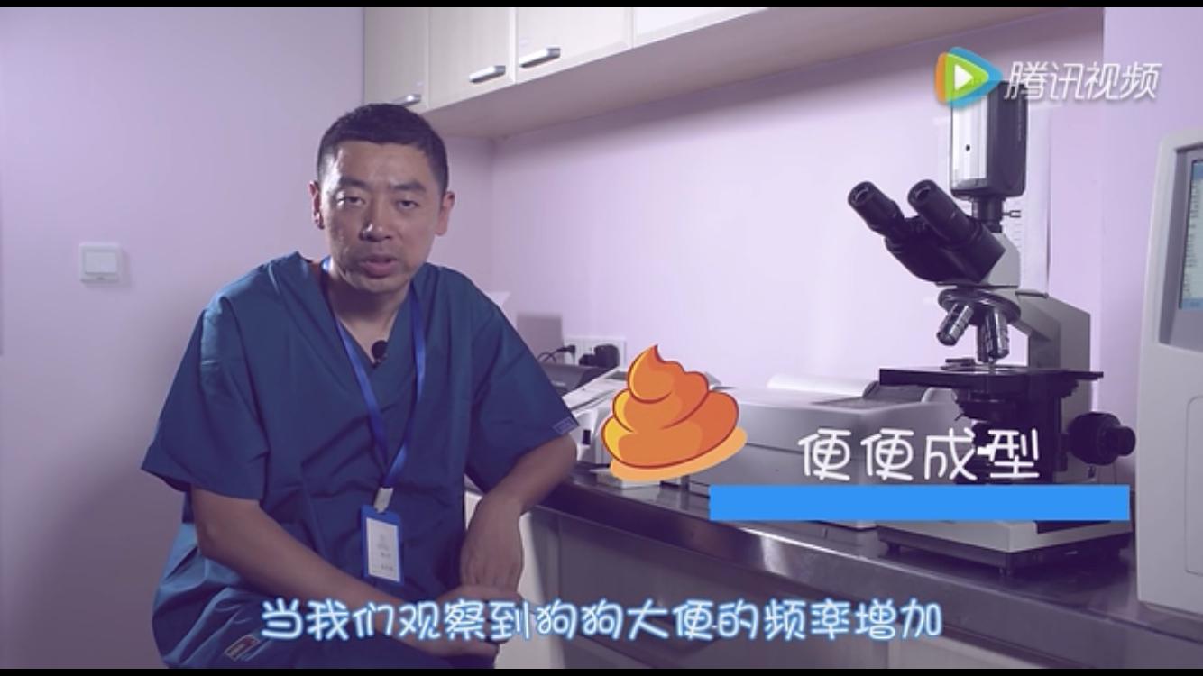 狗狗拉肚子怎么办精神很好,狗狗拉肚子腹泻放屁怎么办