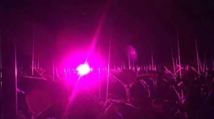 变废为宝水培种植蔬菜,矿泉水瓶水培种植蔬菜