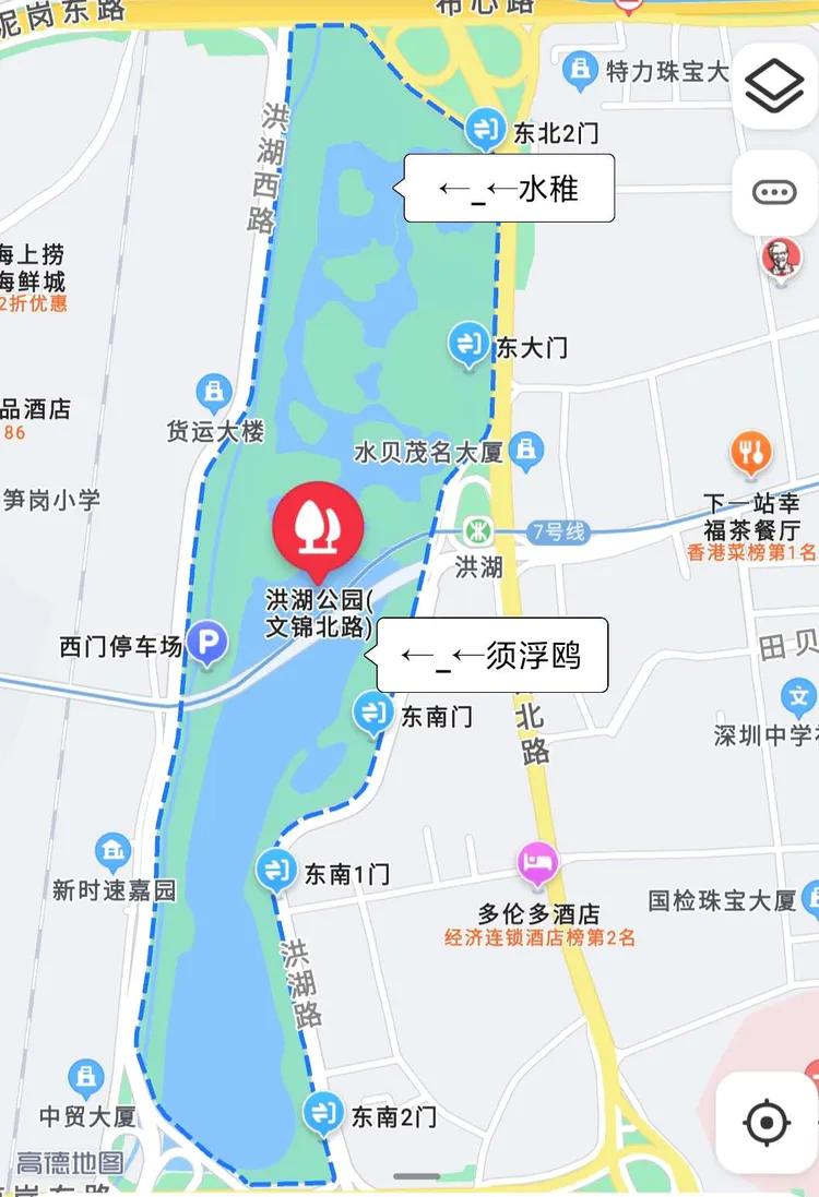 洪湖荷花仙子,洪湖公园蜻蜓