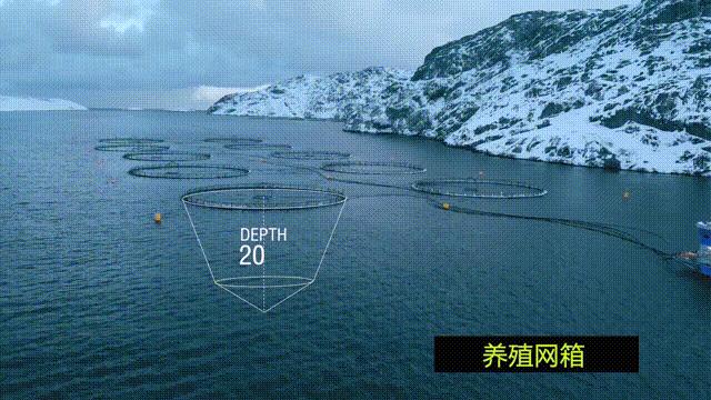 网箱养殖为什么会导致水质恶化,网箱养殖对生态环境有哪些影响