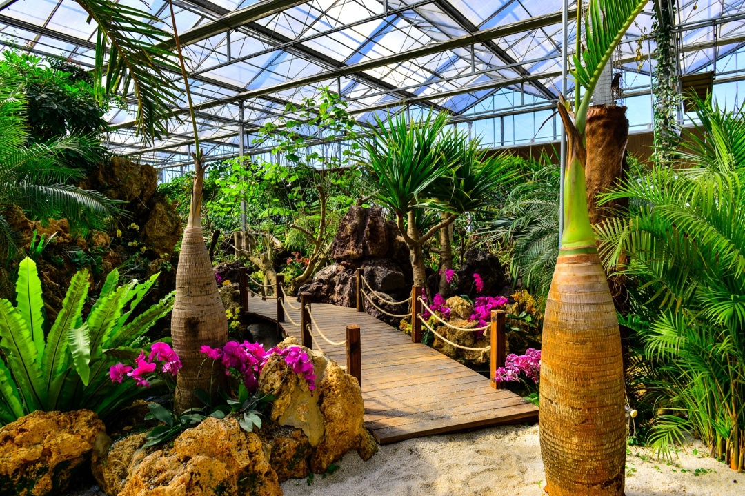 南通绿博园室内,南通绿博园风景