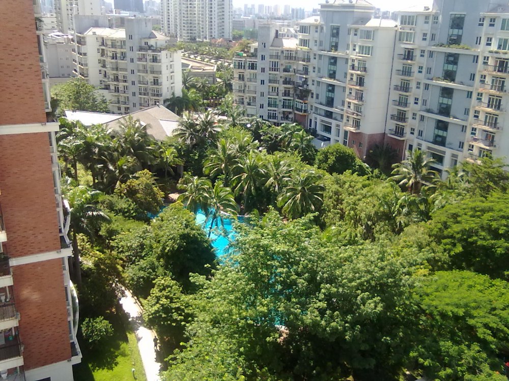 海甸岛绿岛家园有二手房吗,海甸岛海景学校小户型二手房