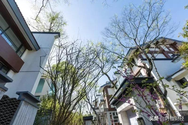 叶檀谈房价最值得买房的城市,叶檀买房的钱从哪来