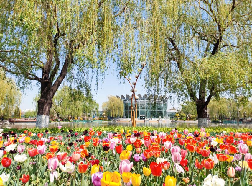 北京丰台五一旅游最佳去处,丰台区赏花景点