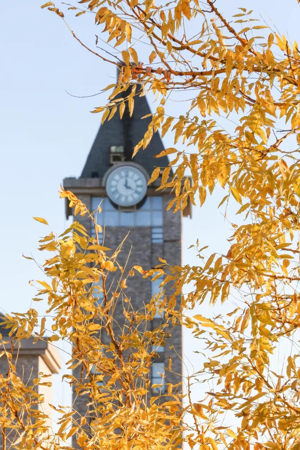 辽宁大连民办大学,大连辽宁二本大学