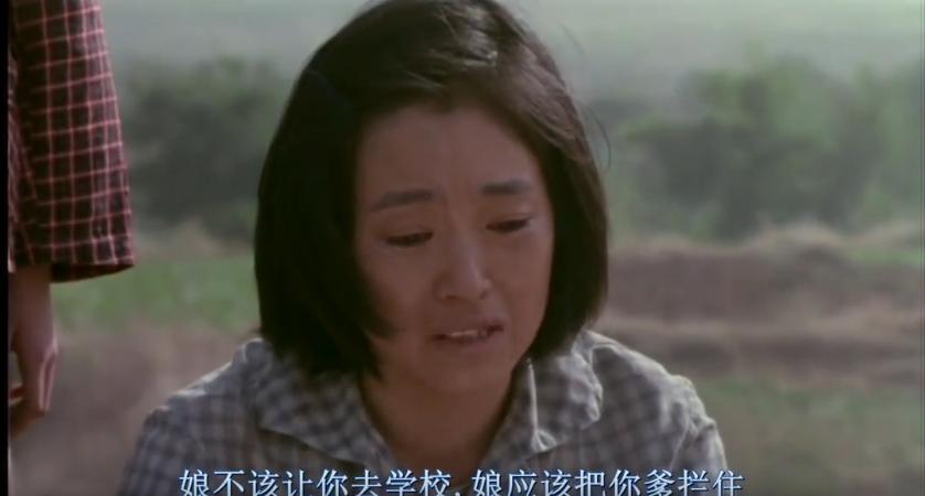 国产高分动画电影9分以上,豆瓣9.8分以上的电影励志国产