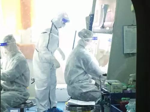 聚焦：大疫之中的武汉病毒所