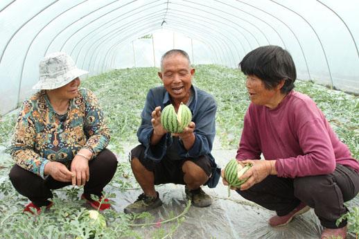 亳州头条新闻今日,亳州新闻最新今日