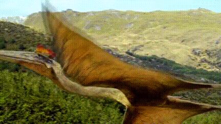 如果电鳗在一千年前灭绝了,电鳗灭绝你还能知道它会放电吗