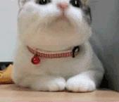 男生最讨厌的穿搭原视频,男生最讨厌的穿搭第一名