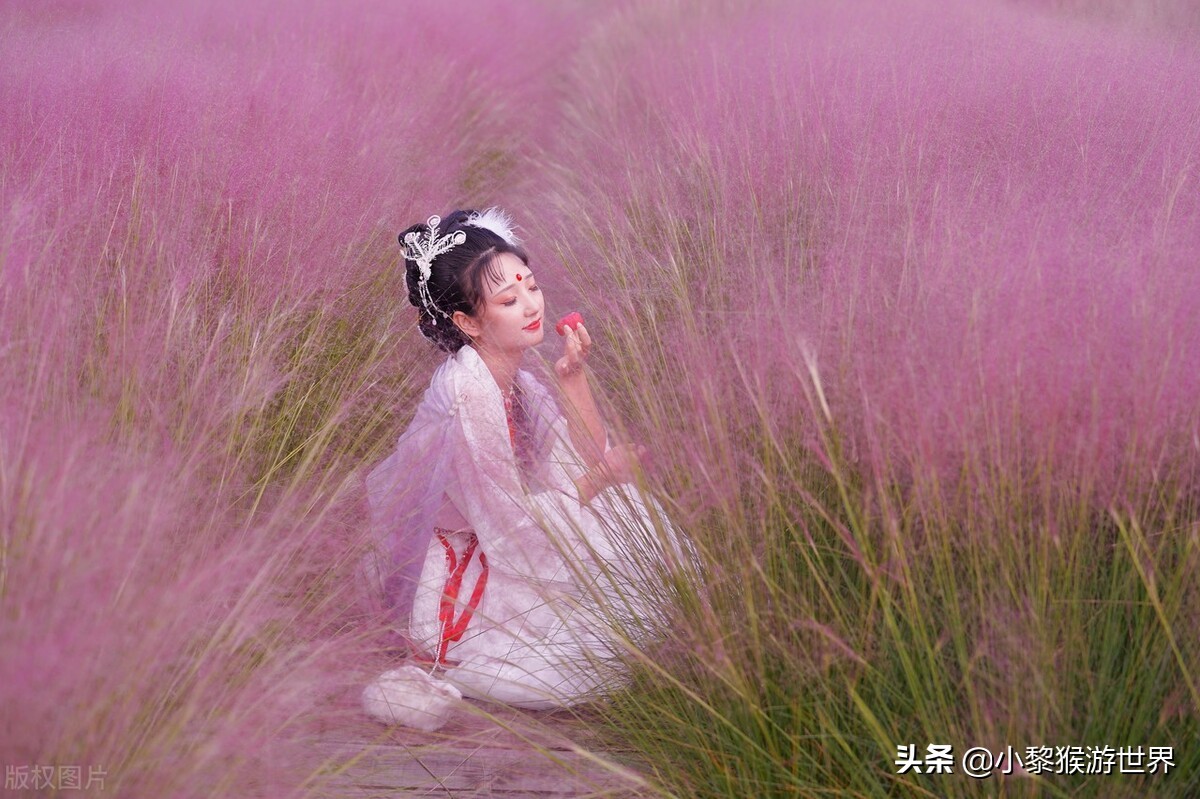 十一国庆苏州景区免费开放,苏州市最值得去看的几个旅游景点