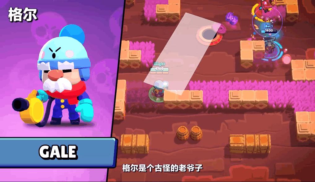 荒野乱斗流彩格尔英雄介绍,荒野乱斗流彩格尔打法