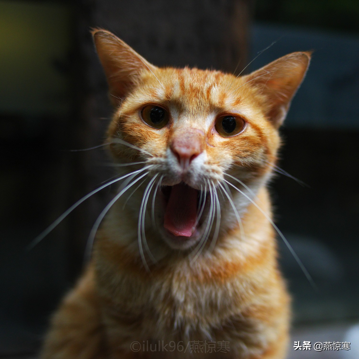 宾得理光镜头通用吗,宾得理光手动镜头推荐