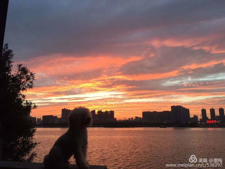 双彩虹映照下的绝美风景，洛阳奇特天象百年不遇