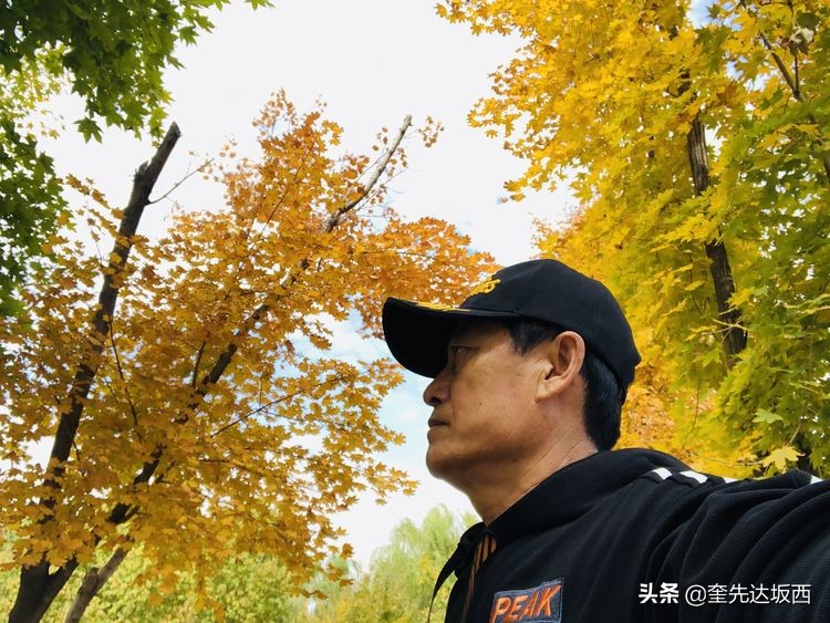 秋天的散文作文,秋天的诗歌随笔