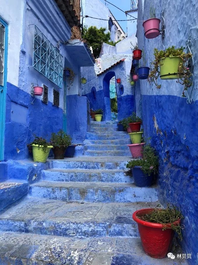 摩洛哥10天,摩洛哥12天瘦5斤减肥成功案例