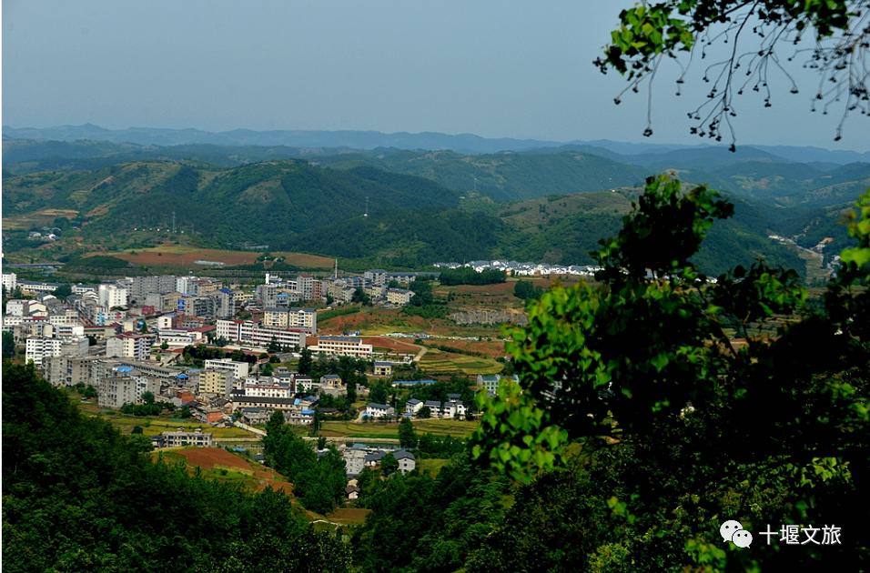 十堰新鲜采摘桃,十堰西沟桃子