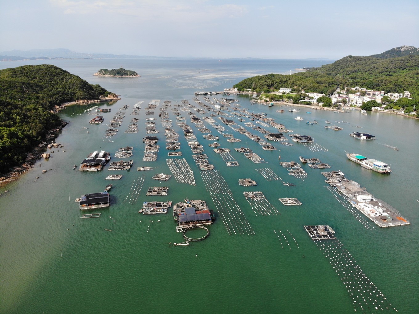 南澳岛看海完整版,南澳岛看海解读