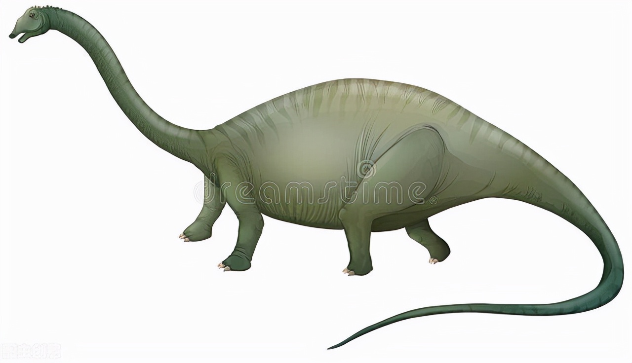 非洲刚果河全景,非洲的刚果河深度