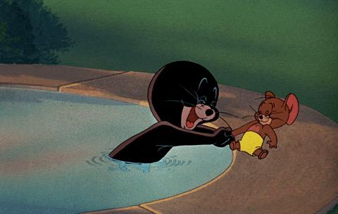 礼仪常识500句,礼仪知识握手