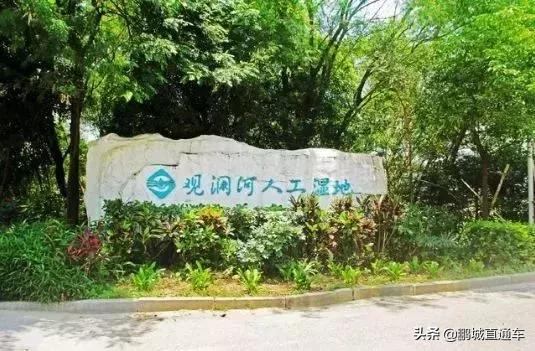 深圳60个最适合一日免费景点,暑假深圳旅游必去十大景点