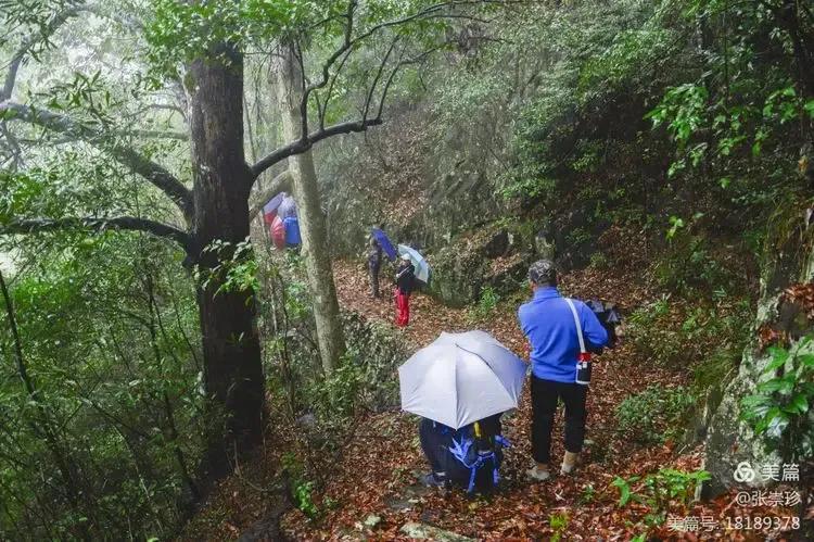 泰顺葛洋陶氏三兄弟修建的三条古道，等你来打卡～