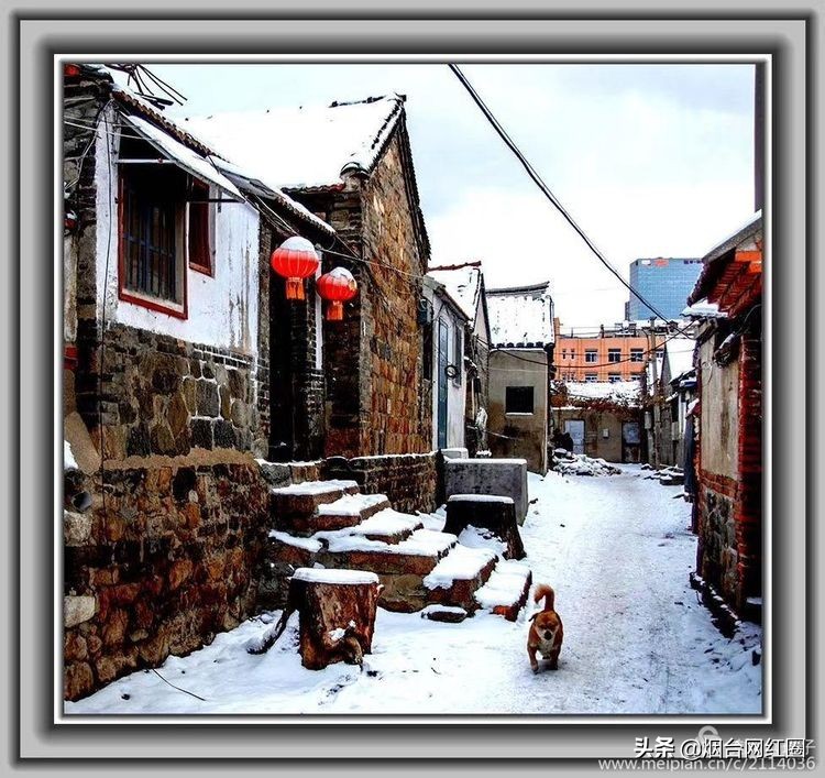 烟台所城里承载着多少回忆,烟台所城的来历