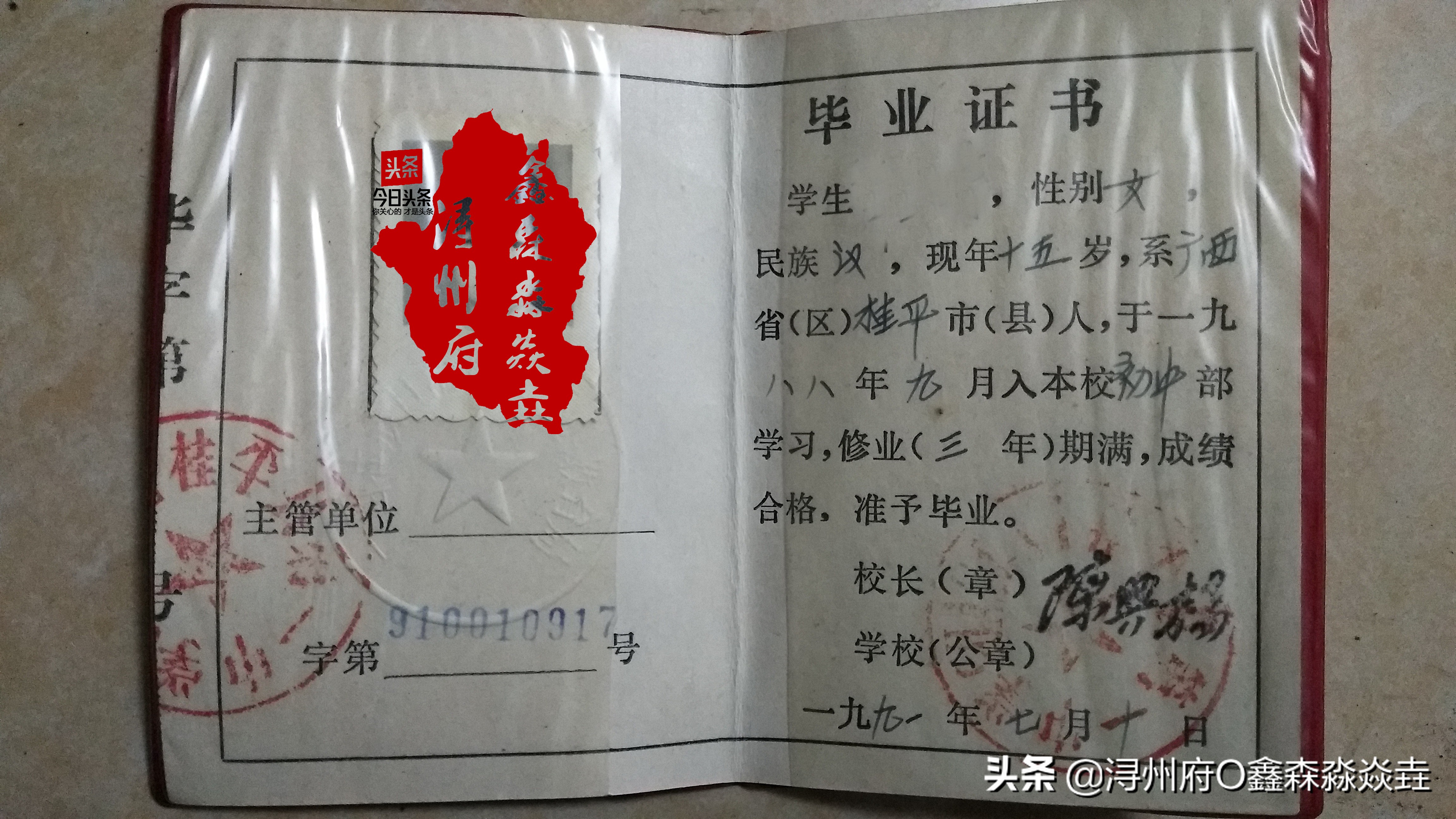 桂平浔州高中校友录,桂平市第一中学知名校友